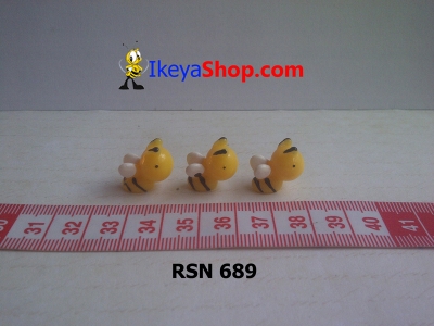 rsn 689  large2